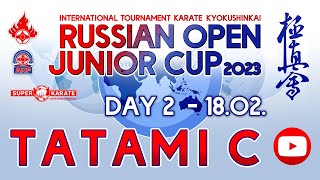 «Russian Open Junior Cup - 2023». ТАТАМИ  C (2 день)