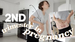 I Filmed My ENTIRE Second Trimester | Weeks 13-27 (weight gain, pelvic pain, belly growth...)