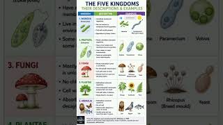 The Five Kingdoms of Living Organisms Explained | Biology Made Easy