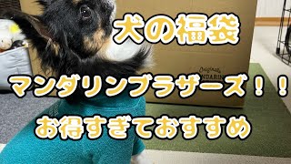 【犬の福袋】マンダリンブラザーズのハッピーバッグ開封【最高でした！！】