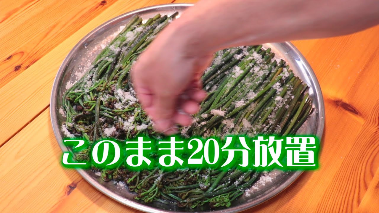 わらび アク抜きから塩漬けして冷蔵保存方法 Salted Wild Vegetable Recipe Youtube