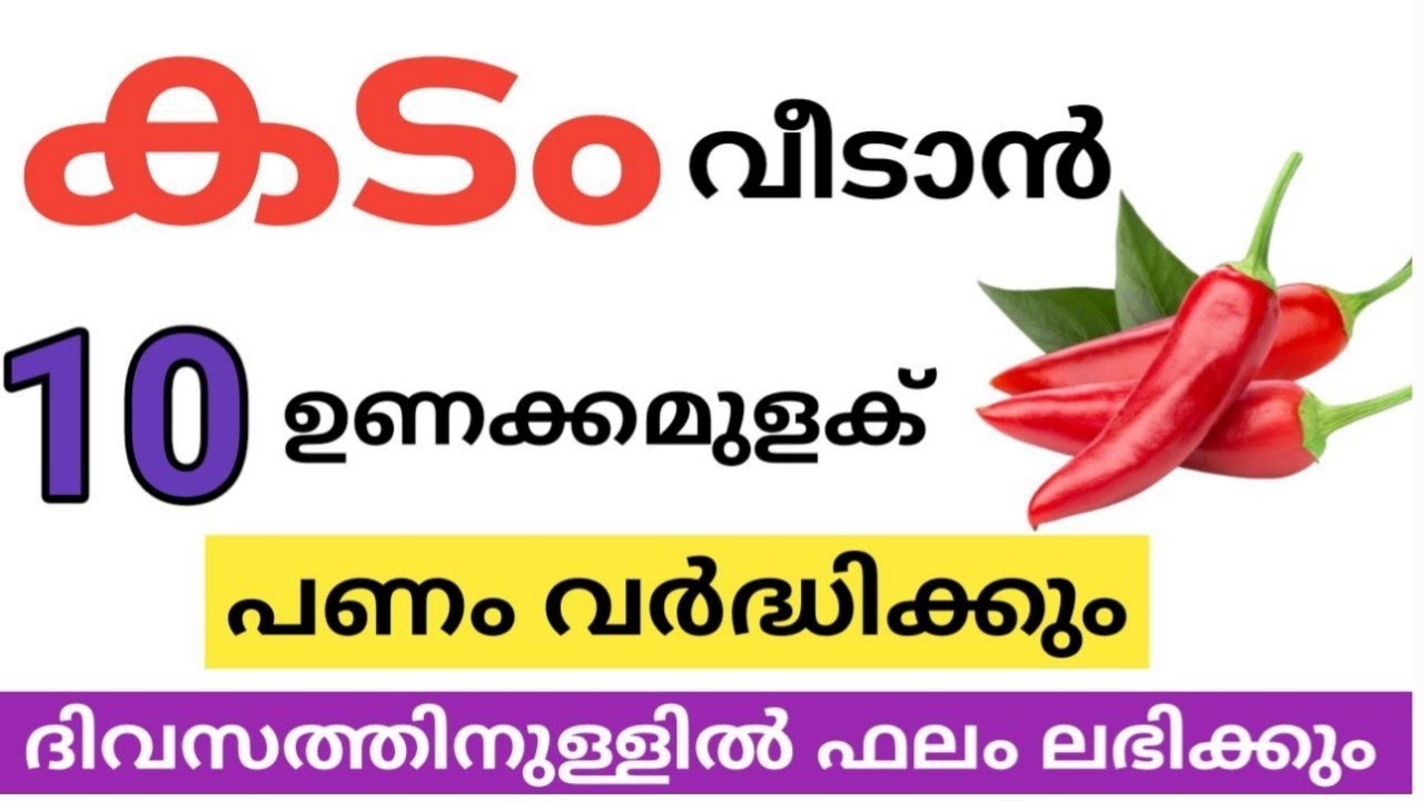 കടം വീടാൻ വെറും പത്ത് ഉണക്കമുളക് മതി 