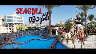 فلوج سي جل بيتش ريزورت الغردقة Seagull Hurghada Beach Resort Vlog