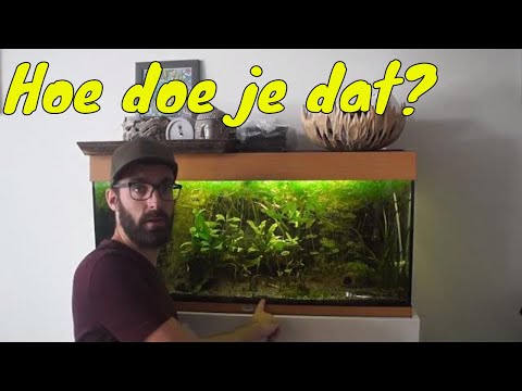 Video: Hoe De Grond In Een Aquarium Schoon Te Maken?