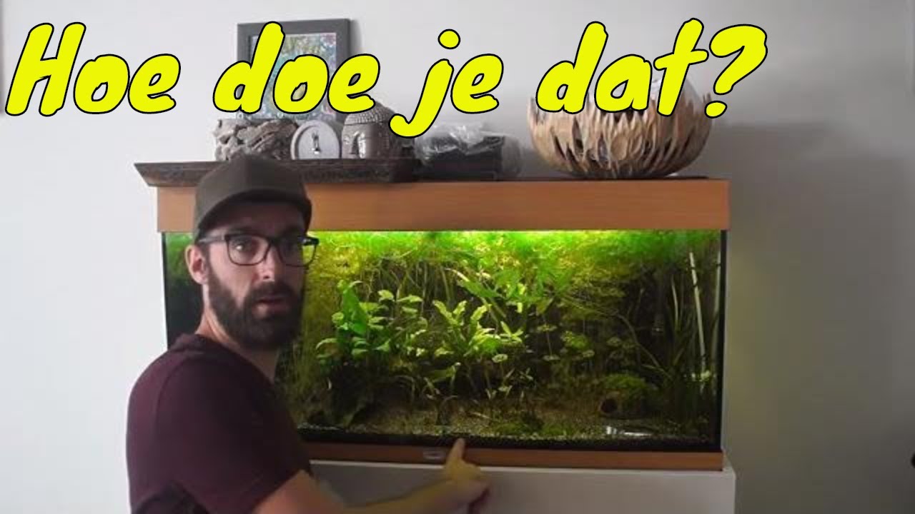 Aquariumbodem vervangen draaiend aquarium - YouTube