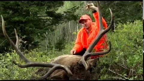 2014 Utah LE Wasatch Rifle Elk Hunt