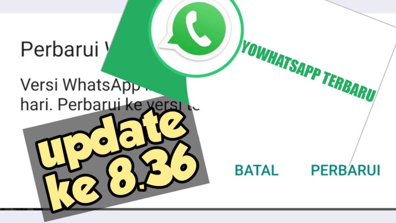 Baru Update Yowhatsapp Versi 8 36 Review Fitur Settings Youtube