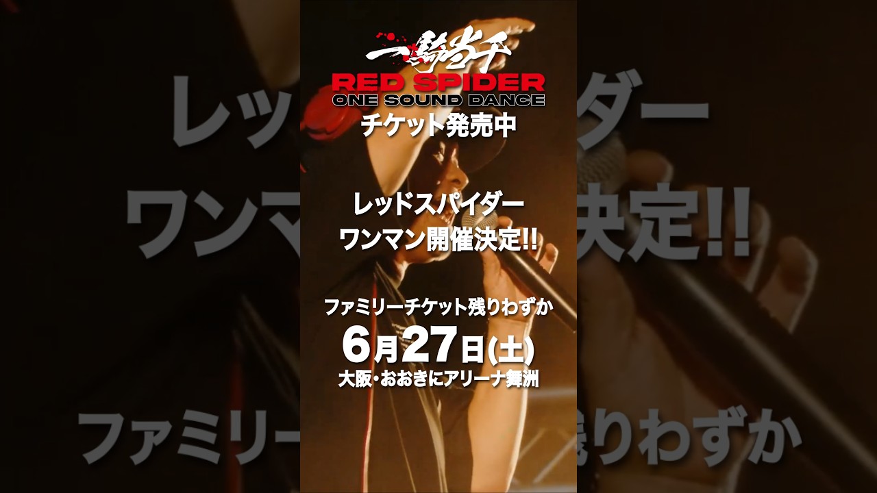 ファミリーチケット残りわずか!ワンサウンドで7,000人規模に挑む——RED SPIDER ONE SOUND DANCE 一騎当千 チケット購入は今すぐ!! #redspider #一騎当千
