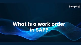 What is a work order in SAP ?