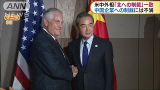 米中外相が会談　「北朝鮮への制裁履行」で一致(17/08/07)