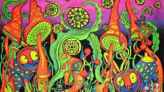 DRUMPITHECUS-USE YOUR SHROOMS
