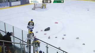 Teddy Bear Toss: How does it work? screenshot 3