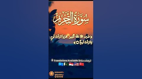 سورة التحريم آية ١٠ | ﴿ ضرب الله مثلا للذين كفروا امرأت نوح وامرأت لوط ﴾ | Surah At tahrim Ayat 10