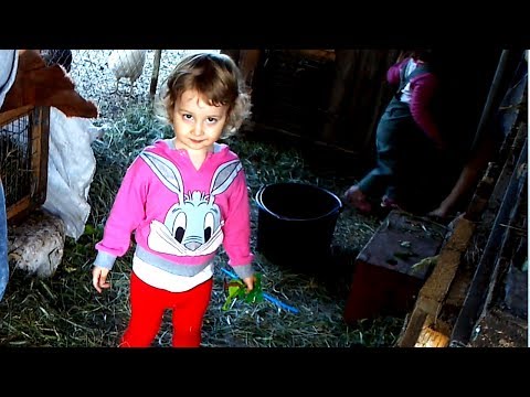 Леди Диана на ферме (часть 1) - Диана и кролики. Diana on the farm (part 1) - Diana and rabbits