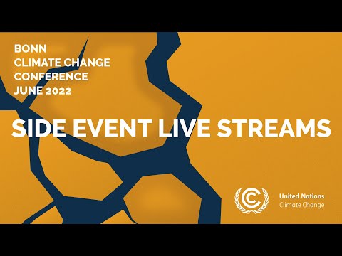 Advancing the Sustainable Development Goals in the context of voluntary climate protection projects