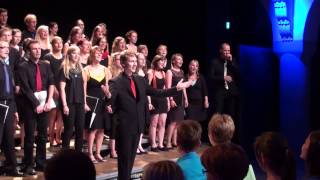 Sing mal wieder (WiseGuys) - Psycho-Chor Jena