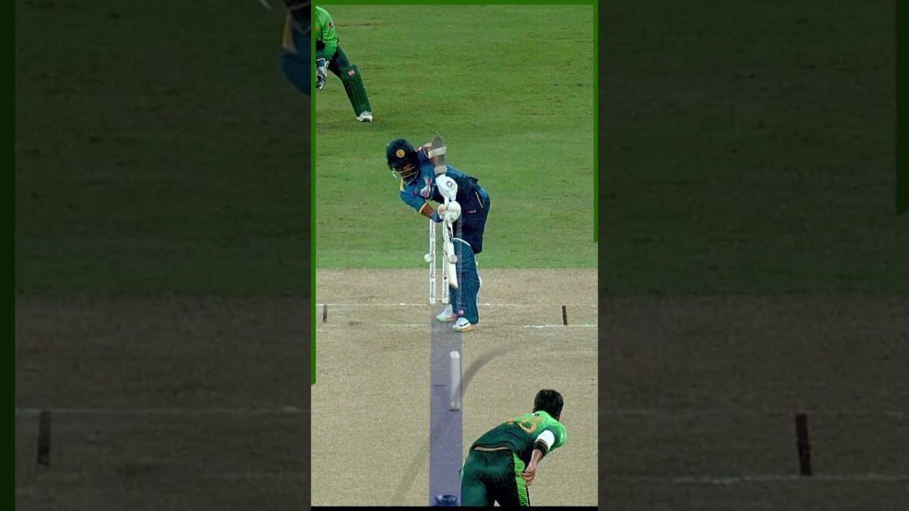 PCB Archive - Wonderful 3️⃣ Wickets Spell From Rumman Raees | PAK vs SL 1st ODI, 2017 