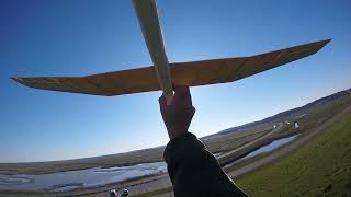RC-Factory 'Termik' glider