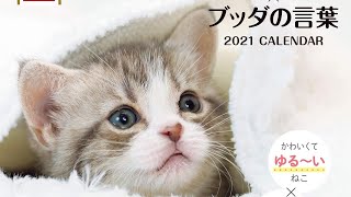 ゆるねこ×ブッダの言葉／仏教とジレンマ／少年イン・ザ・フッド／ある奴隷少女に起こった出来事／無限の始まり／アメリカン・ブッダ／残酷な進化論・他｜この仏教書がすごい！（22-23 Sep 2020）