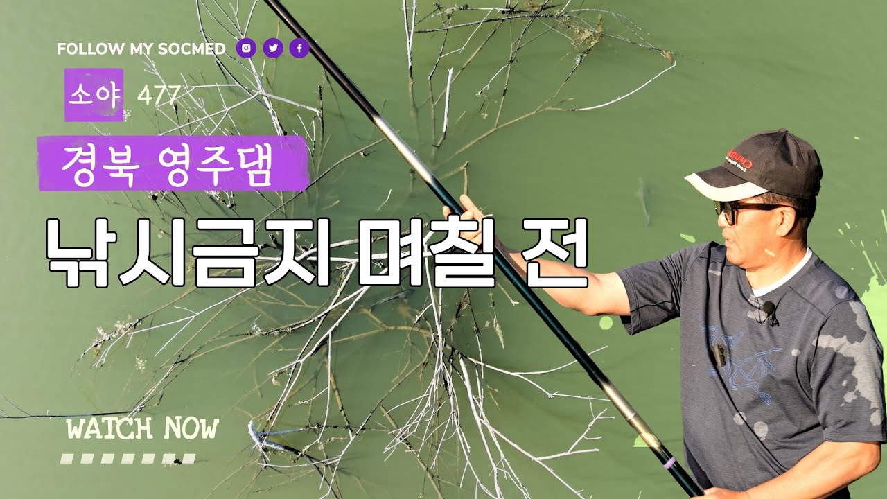 영주댐 낚금 며칠 전