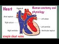 Heart short notes / heart study in detail / Heart / #uniquepharmacy