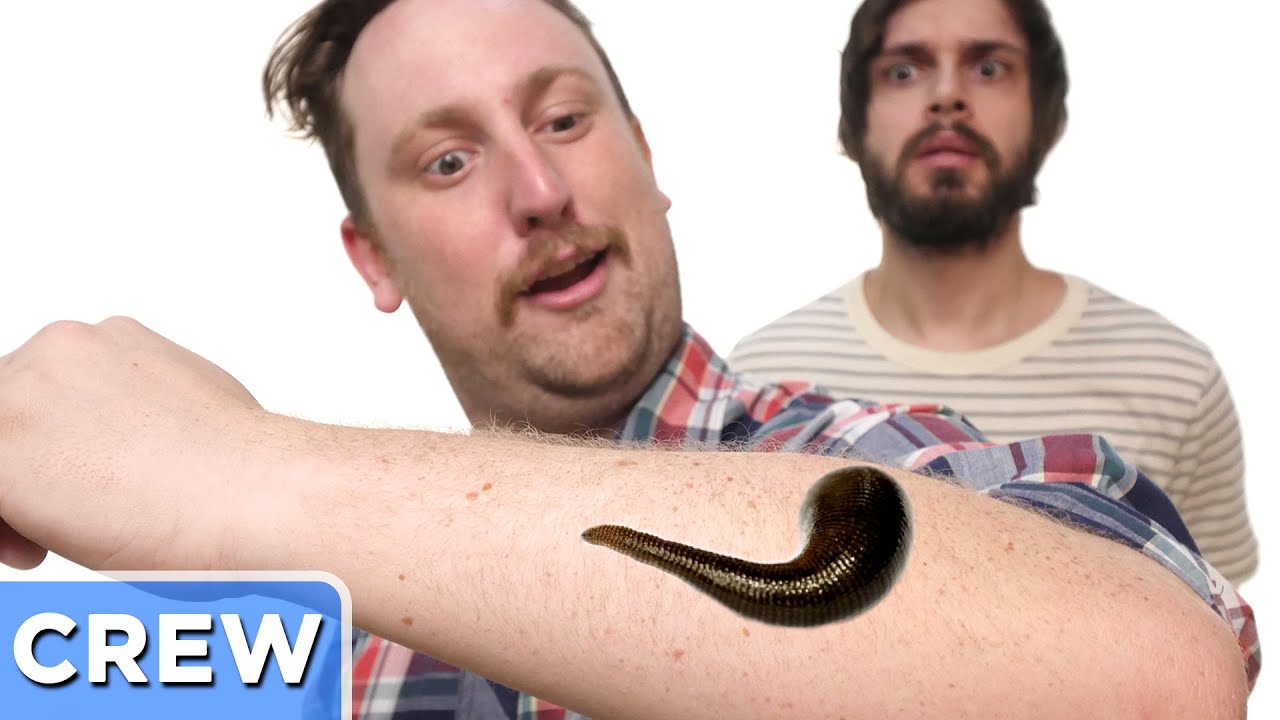 leech life The Blood Sucking Leech Adventure