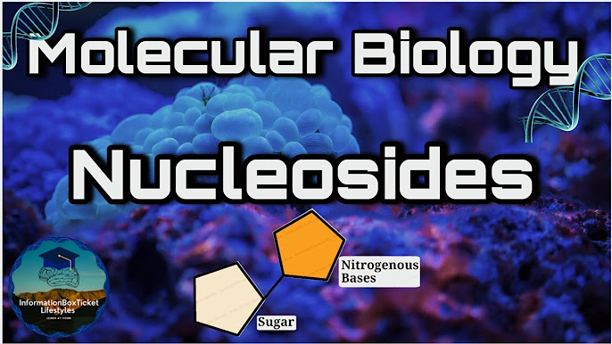Molecular Biology - YouTube