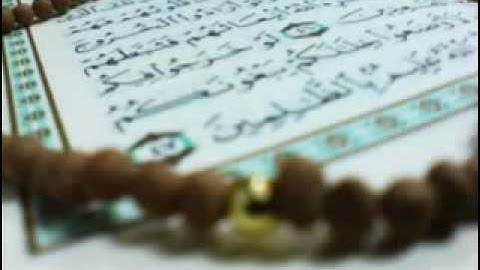 سوره المجادلة رواية البز عن ابن كثير محمد العبدالله
