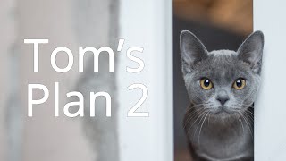 [Royalty Free Music] Tom's Plan 2 (Cat/Funny/Compilation)