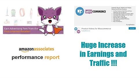 WooZone + Product Videos - Huge Amazon Associates Profits