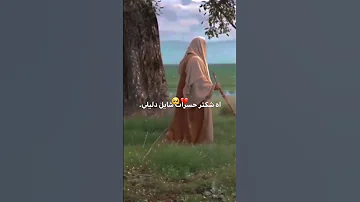 اه شكثر حسرات شايلي دليلي مهدي العبودي تصميم للامام المهدي ع تصاميم عسافيون Hd Jjcxb 7 Shorts 
