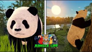 Hunting And Killing Players As The NEW Panda! 🐼 | Jungle Life Roblox screenshot 5