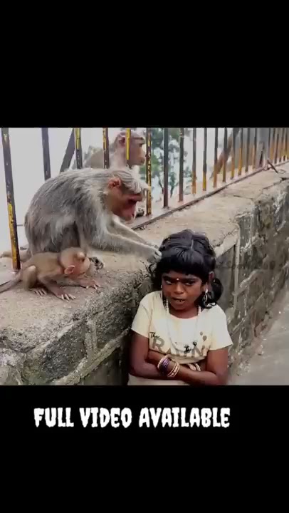 Monkey with kutty sornakka