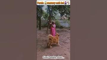 Panda 😱 mummy ke sath bol🧕🏻🐕#ginnipandey #panda #mummy #shorts #reaction