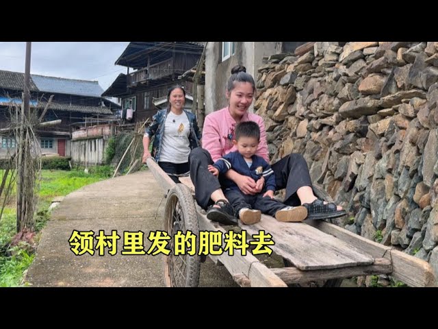 村里免费发肥料，三妹和婆婆拖上板车，结果等了两个小时都没领到 class=