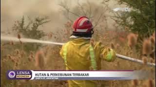 KEBAKARAN HUTAN ARGENTINA - LENSA INDONESIA UPDATE RTV