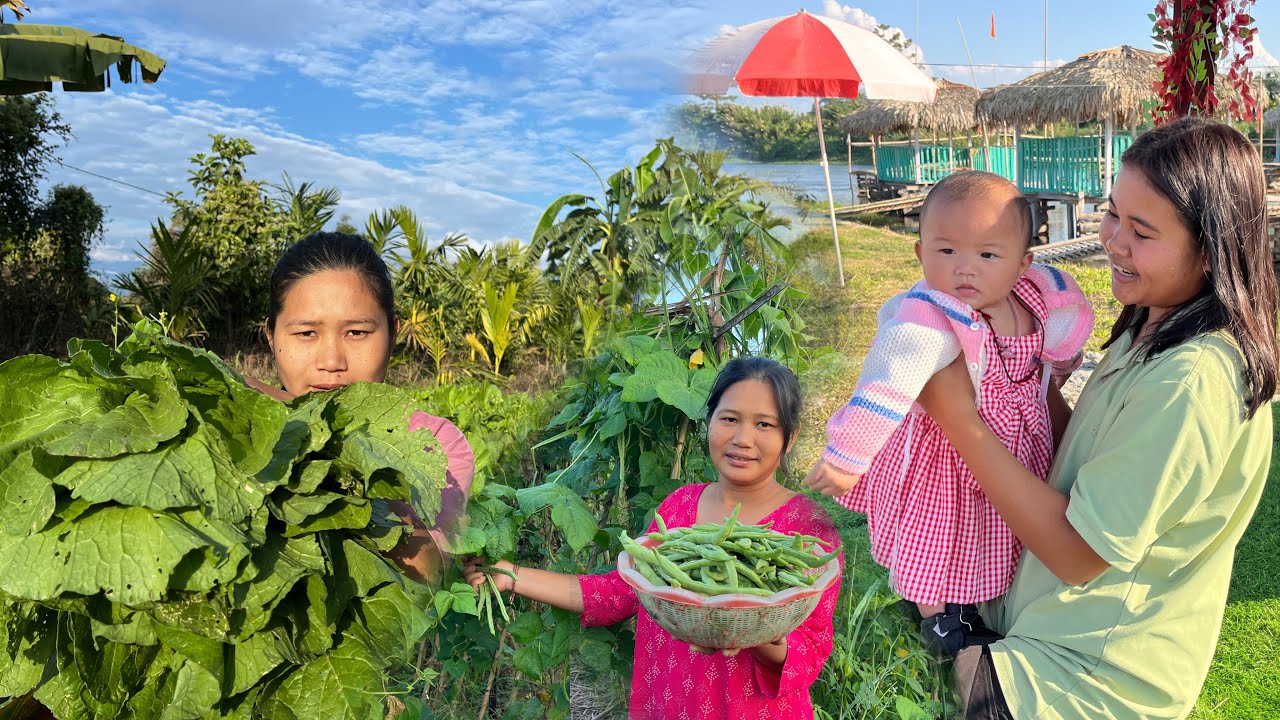 Anshi Beti ko first time resort ghumaya | Collecting Green Vegetables 