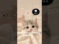 Like nanti muncul kucing, semoga beneran muncul gaes #fypシ #sakuraschoolsimulator #kucing #fypシ #fy