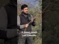 Impara a potare in 30 secondi