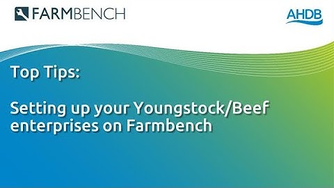 FARMBENCH: Setting up your Youngstock/Beef enterprises on Farmbench