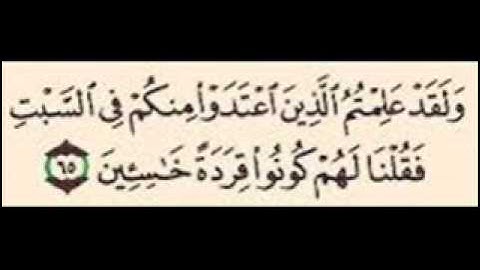سورة البقره آيه 65 -66