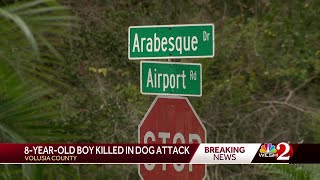 8-year-old boy had 'horrific' injuries in fatal dog attack, Volusia sheriff says