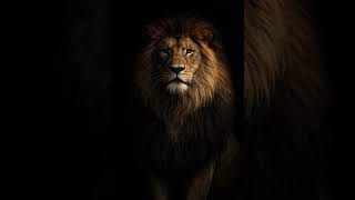 “Down with Israel, down with America. I support Iran.#GlobalPolitics #WorldTruth #PowerAndPolitics 💯