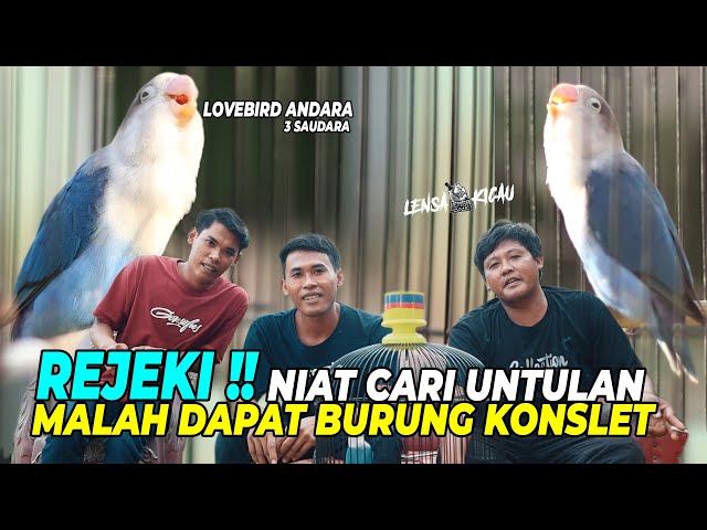 REJEKI!! NIAT CARI UNTULAN, 3 SAUDARA INI MALAH DAPAT BURUNG KONSLET DARI TERNAKAN ||LOVEBIRD ANDARA class=