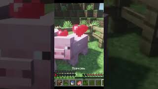 Ну признайся, было  #minecraft #майнкрафтвыживание #майнкрафт