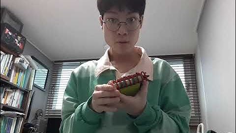 How to draw a book 📖 (Part 3) New Steve shirt version