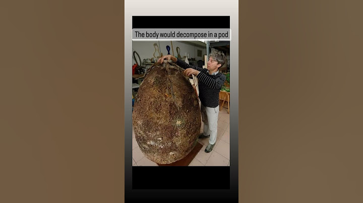 Would you bury yourself or a loved one in a pod to feed a tree as you decompose? #funeral