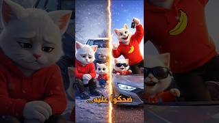 سيارة الاحلام...! #cat #meow #animation