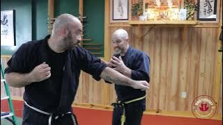 Ninjutsu Techniques Adapted For Modern Threats