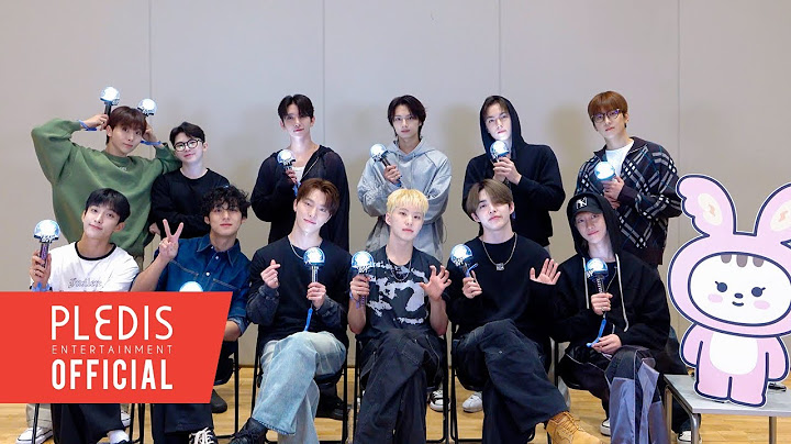 SEVENTEEN (세븐틴) 'LOVE, MONEY, FAME (feat. DJ Khaled)' 응원법